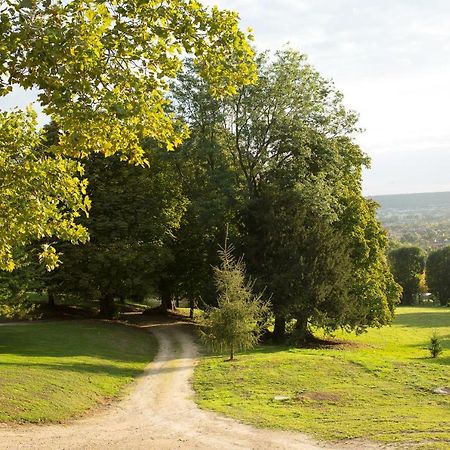 La Clairiere De La Reine Hortense - Pierres D'Histoire Saint-Prix  ภายนอก รูปภาพ